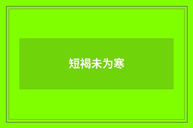 短褐未为寒