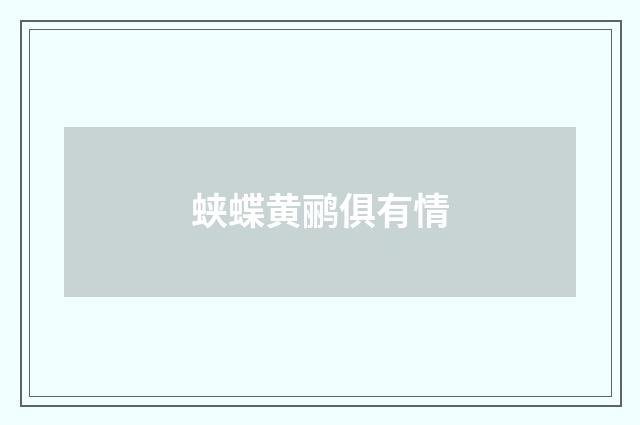 蛱蝶黄鹂俱有情