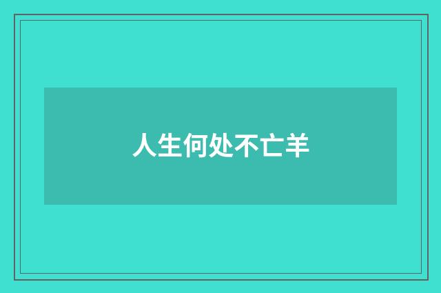 人生何处不亡羊