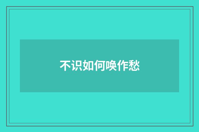 不识如何唤作愁