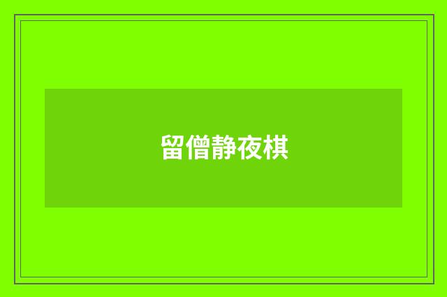 留僧静夜棋