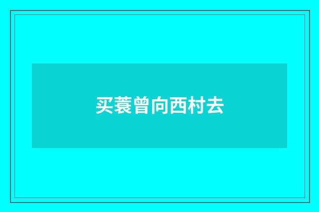 买蓑曾向西村去