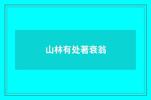 山林有处著衰翁