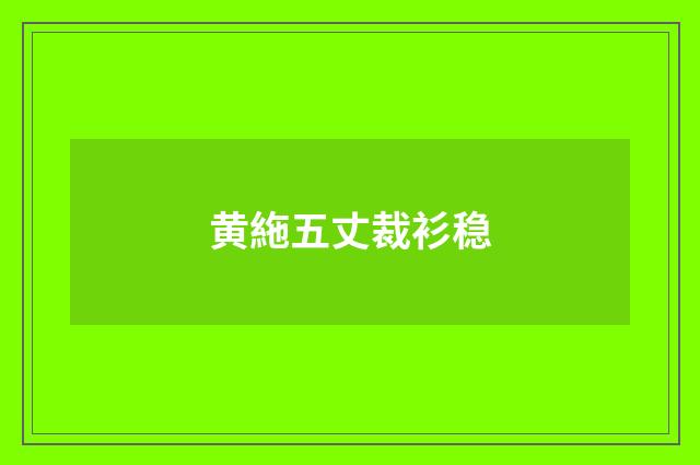 黄絁五丈裁衫稳