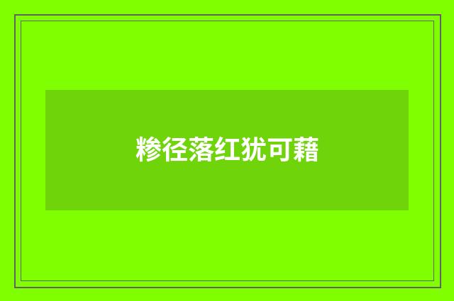 糁径落红犹可藉