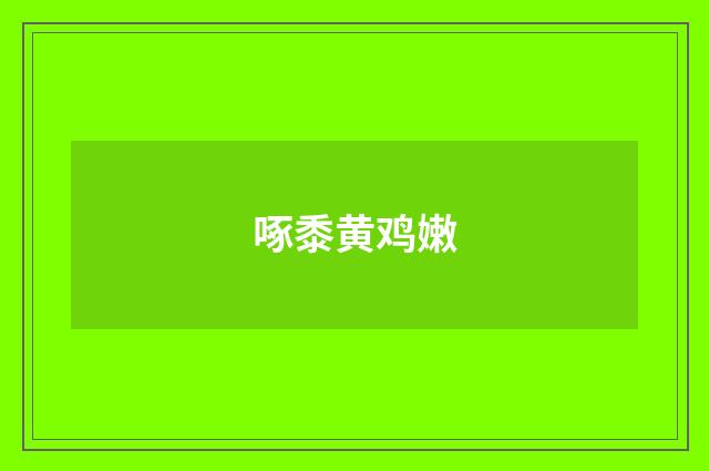 啄黍黄鸡嫩
