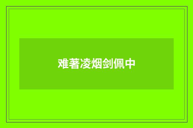 难著凌烟剑佩中