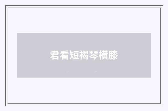 君看短褐琴横膝