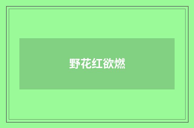 野花红欲燃