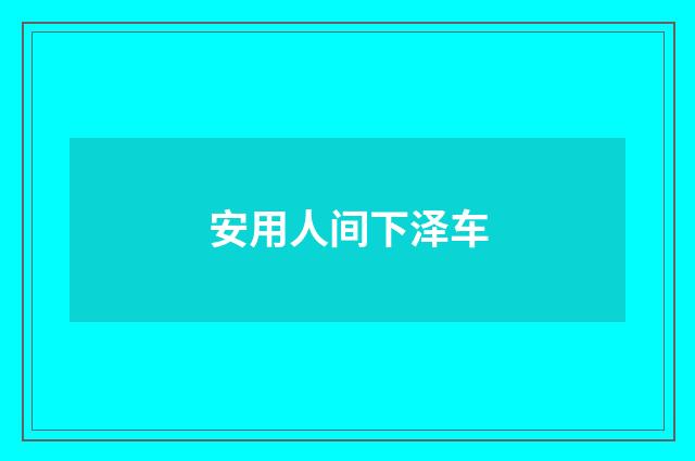安用人间下泽车