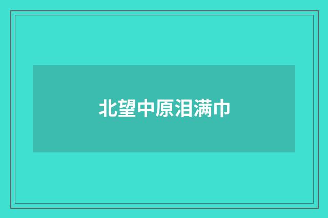 北望中原泪满巾