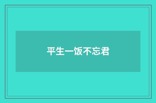 平生一饭不忘君