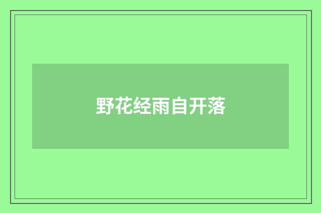 野花经雨自开落