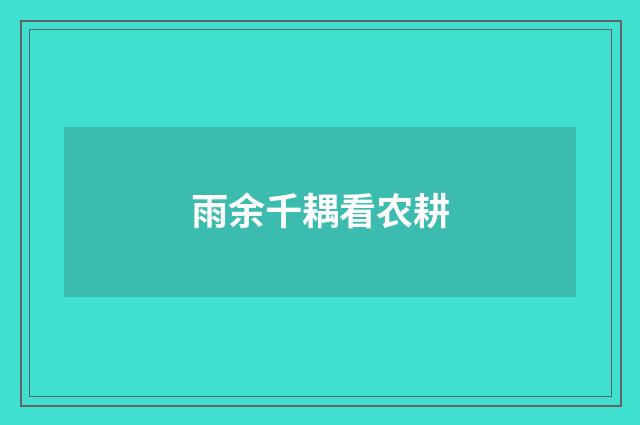 雨余千耦看农耕