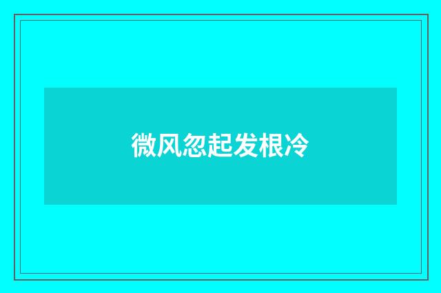 微风忽起发根冷