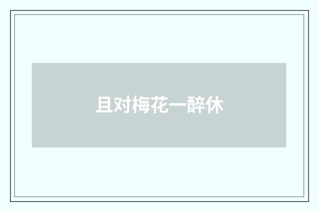 且对梅花一醉休