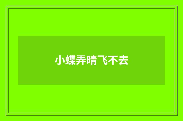 小蝶弄晴飞不去