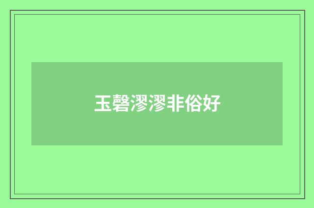 玉磬漻漻非俗好