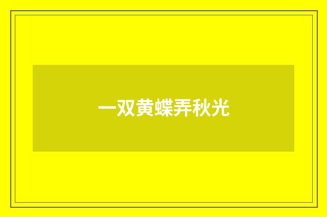 一双黄蝶弄秋光