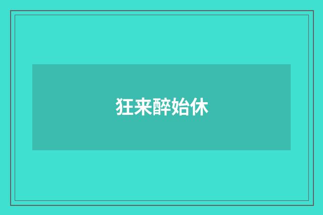 狂来醉始休