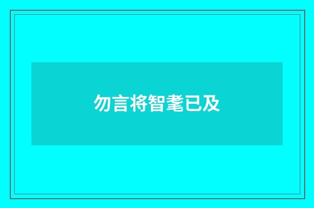 勿言将智耄已及