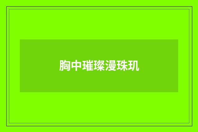 胸中璀璨漫珠玑