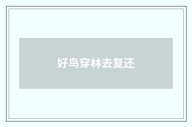 好鸟穿林去复还