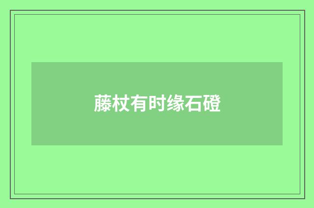 藤杖有时缘石磴