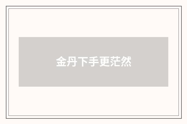 金丹下手更茫然