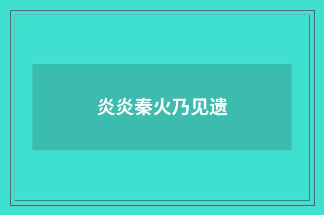 炎炎秦火乃见遗