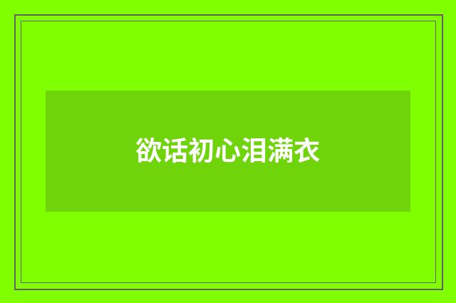 欲话初心泪满衣