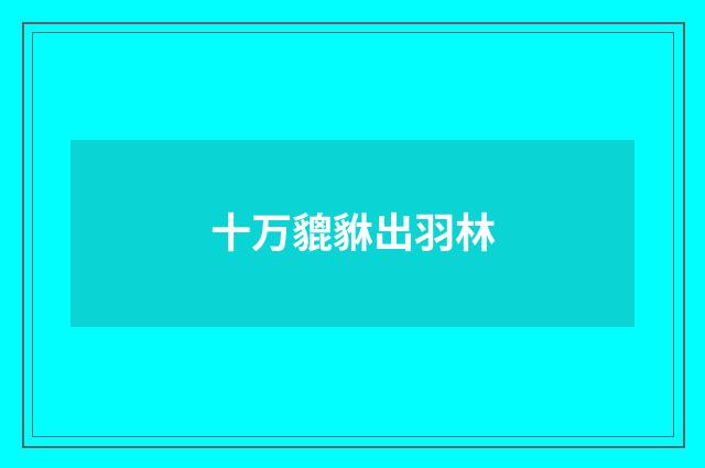 十万貔貅出羽林