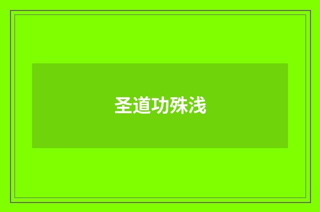 圣道功殊浅