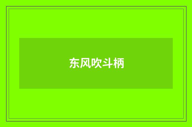 东风吹斗柄