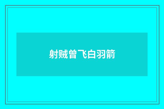 射贼曾飞白羽箭