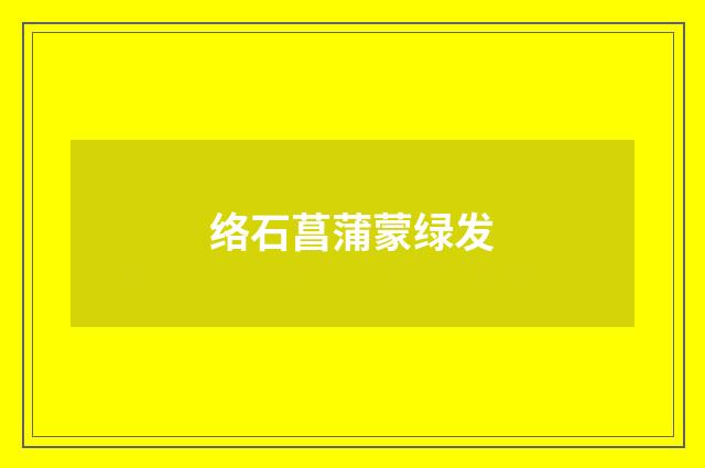 络石菖蒲蒙绿发