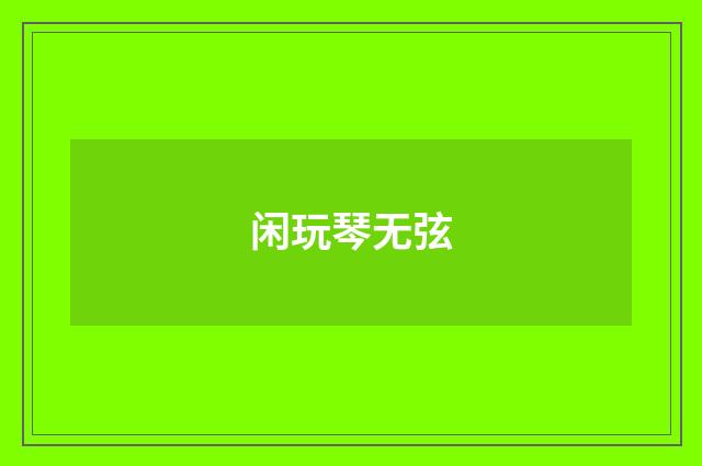 闲玩琴无弦