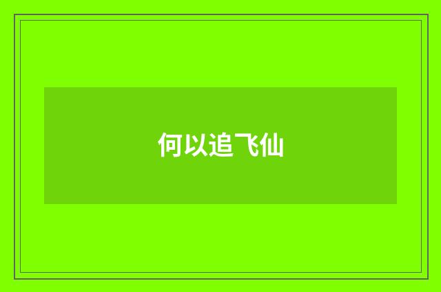何以追飞仙