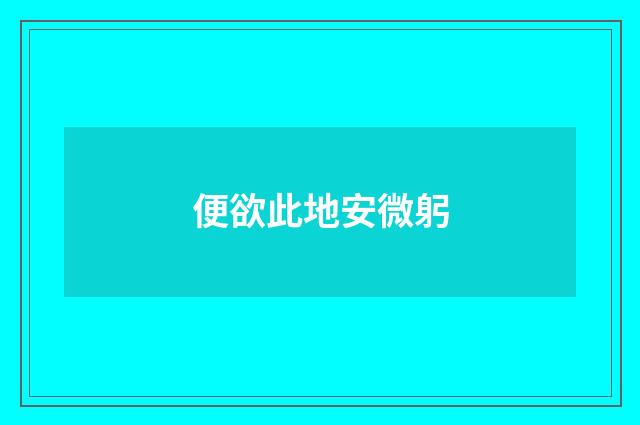 便欲此地安微躬
