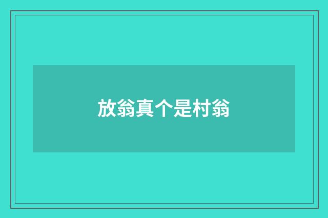 放翁真个是村翁