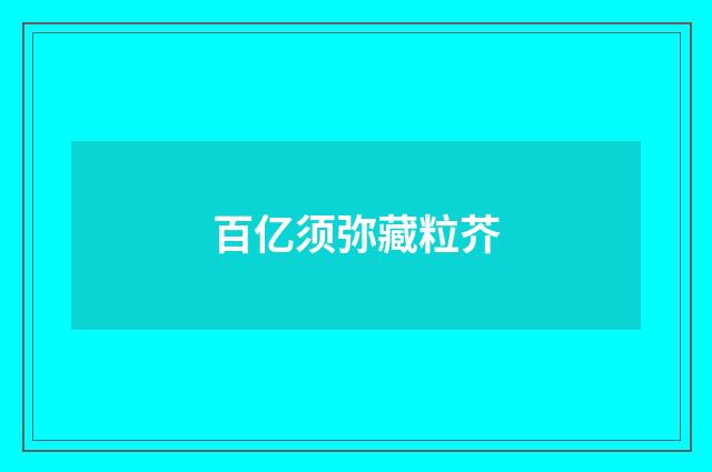 百亿须弥藏粒芥