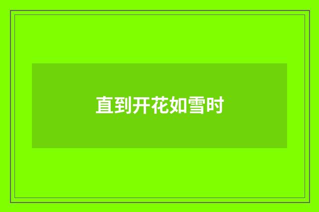 直到开花如雪时