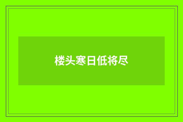 楼头寒日低将尽
