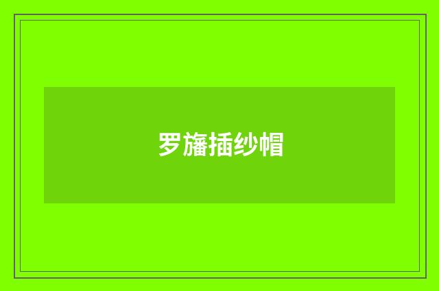 罗旛插纱帽