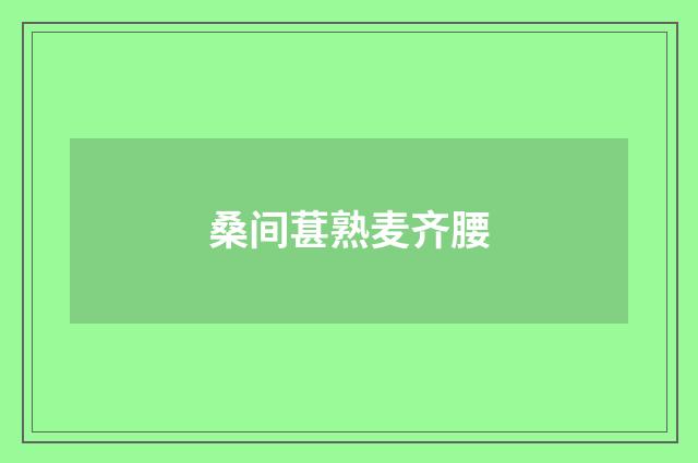 桑间葚熟麦齐腰