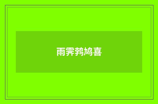 雨霁鹁鸠喜