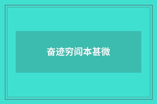 奋迹穷阎本甚微