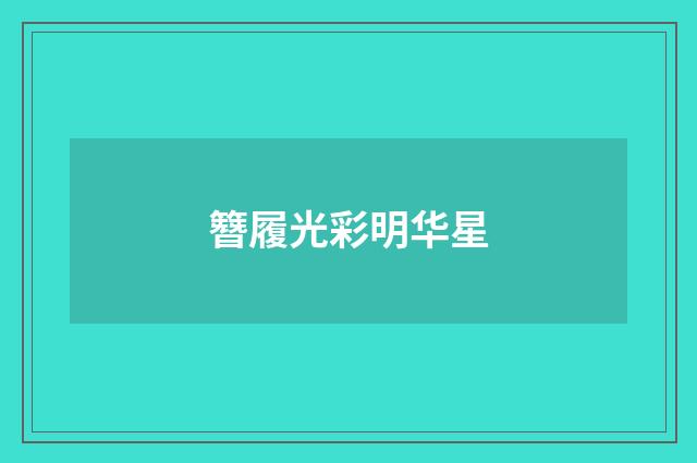 簪履光彩明华星