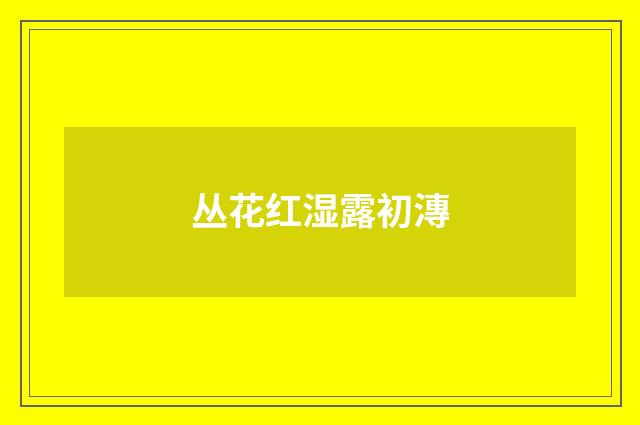 丛花红湿露初漙