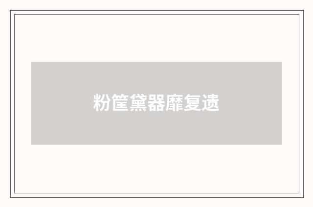 粉筐黛器靡复遗